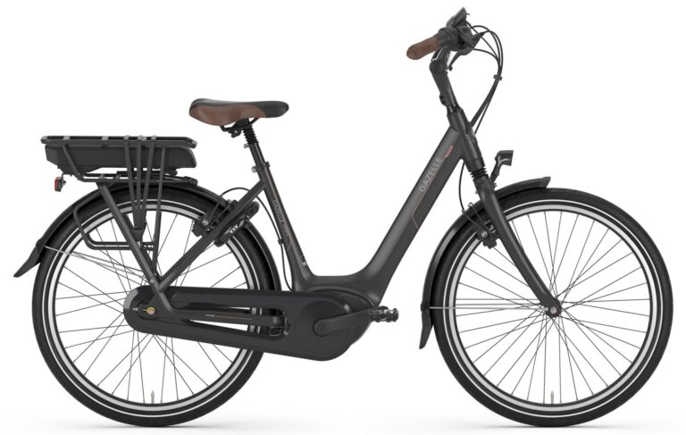 Gazelle Orange C8 HMB 2023