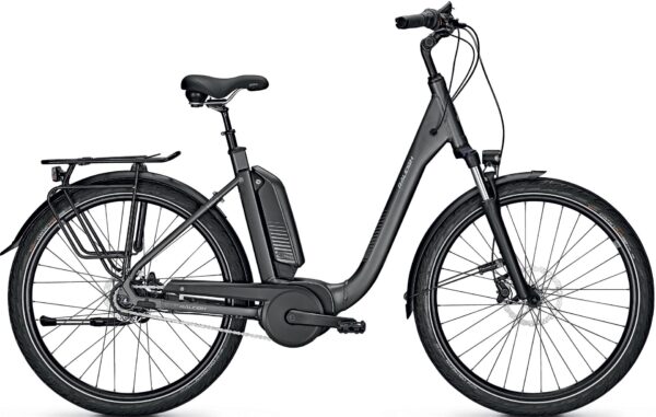 Raleigh Kingston 8 XXL RT 2021 City e-Bike