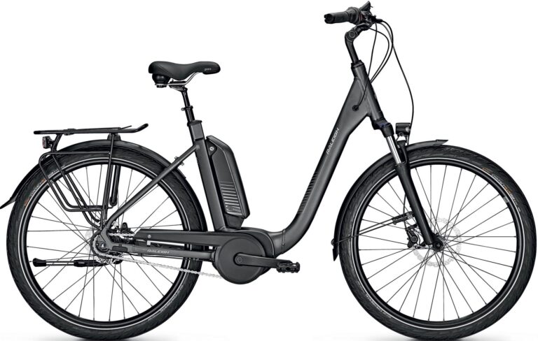 Raleigh Kingston 8 XXL RT 2021