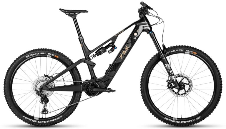 ROTWILD R.E735 Core 2023