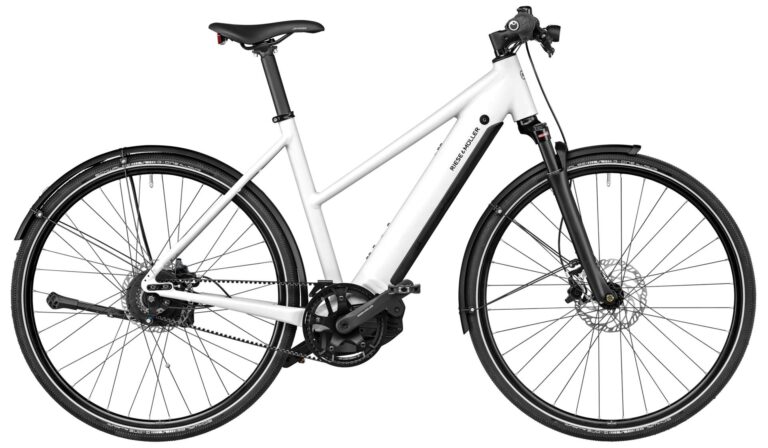 Riese & Müller Roadster4 Mixte vario 2024