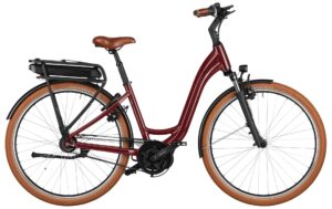 Riese & Müller Swing4 silent Testbike 2024 City e-Bike