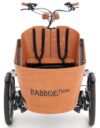 eT24 009398 03 de Babboe Flow Mountain 2024