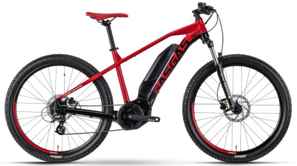 GASGAS G Cross Country 1.0 Altus 2024 e-Mountainbike