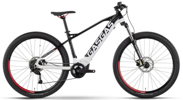 GASGAS G Cross Country 2.0 Alivio 2024 e-Mountainbike