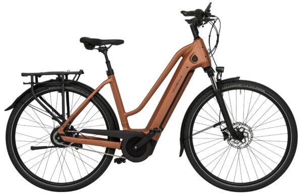 Velo de Ville AEB 290 CUES 9 2024 Trekking e-Bike