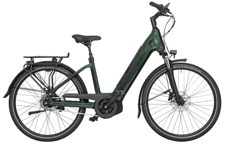 Velo de Ville AEB 490 Alfine 11 2024