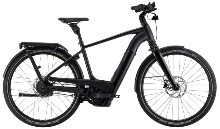 Cannondale Mavaro Neo 1 2024