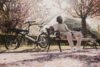 eT24 012556 03 de HASE BIKES GRAVIT CITY E 2024