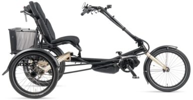 HASE BIKES TRIGO UP E 2024