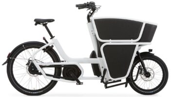 Urban Arrow Shorty Performance Essential 2024