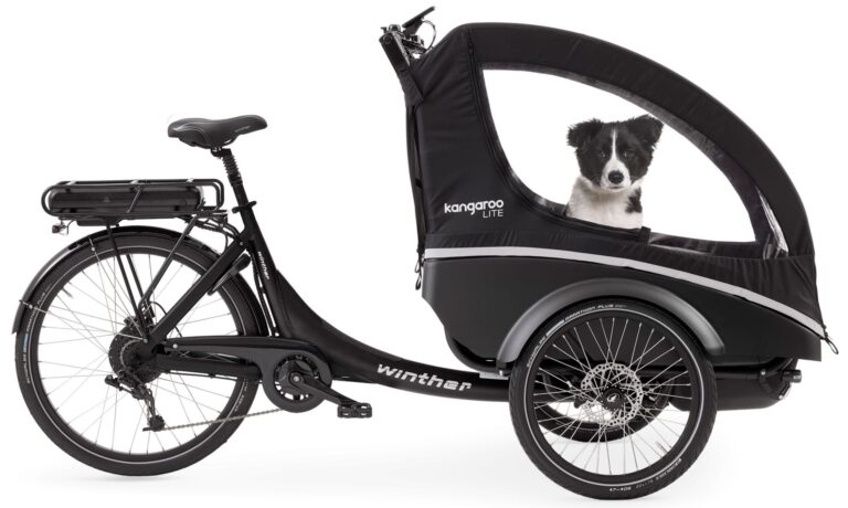 Winther Kangaroo Dog Di2 2024