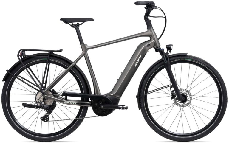 Giant DailyTour E+ 2 D GTS RC Dash 2022