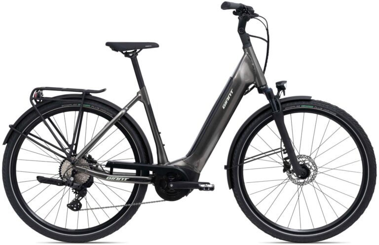 Giant DailyTour E+ 2 D LDS RC Dash 2022
