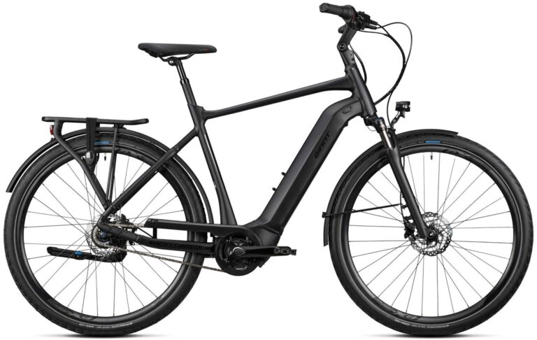 Giant DailyTour E+ 2 GTS RC Dash 2022