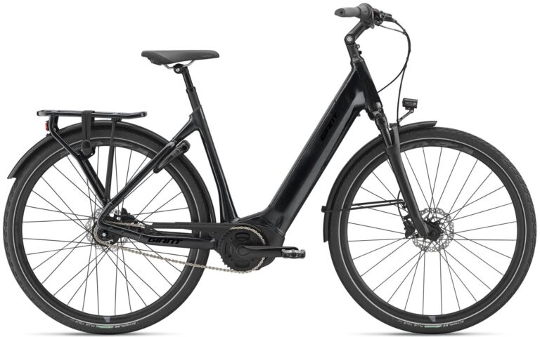 Giant DailyTour E+ 2 LDS RC Dash 2022