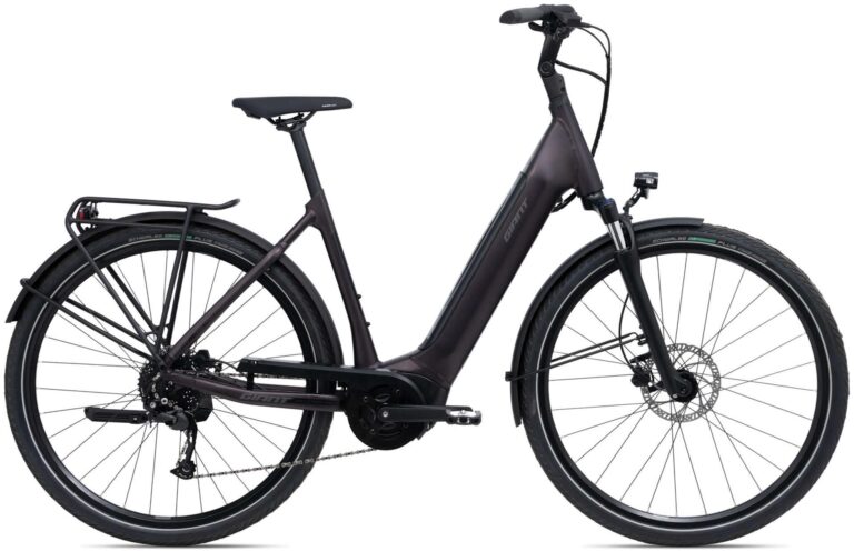 Giant DailyTour E+ 3 LDS RC Dash 2022