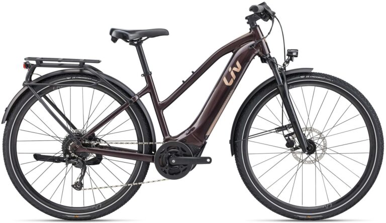 Liv Amiti-E+ 2 RC Dash 2022