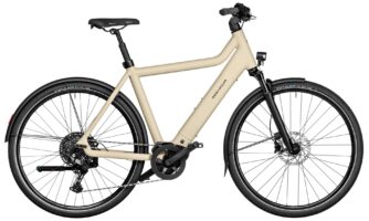 Riese & Müller Culture touring Testbike 2025