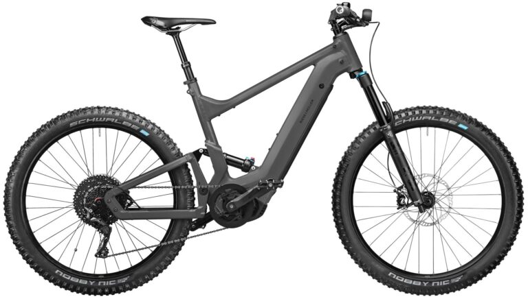 Riese & Müller Delite mountain touring 2025