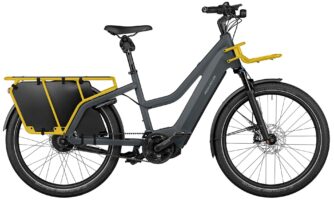 Riese & Müller Multicharger2 Mixte GT vario 2025