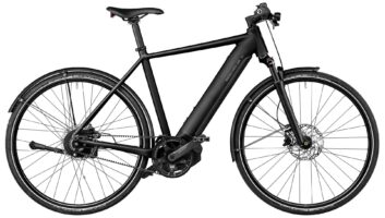 Riese & Müller Roadster4 vario 2025