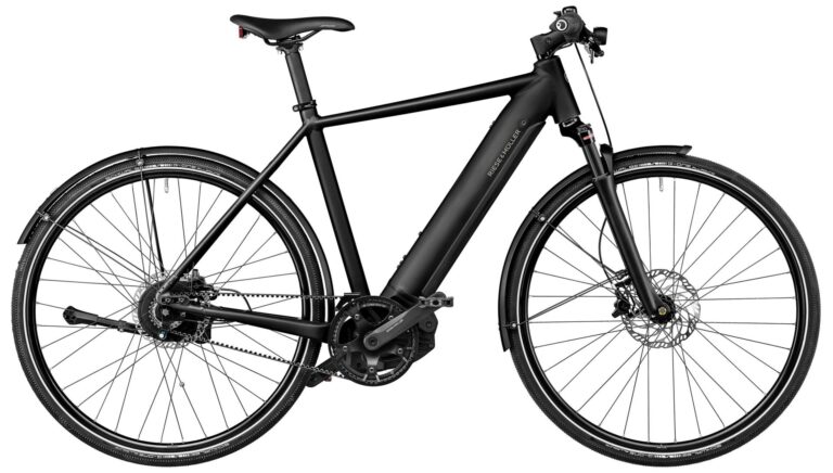 Riese & Müller Roadster4 vario 2025