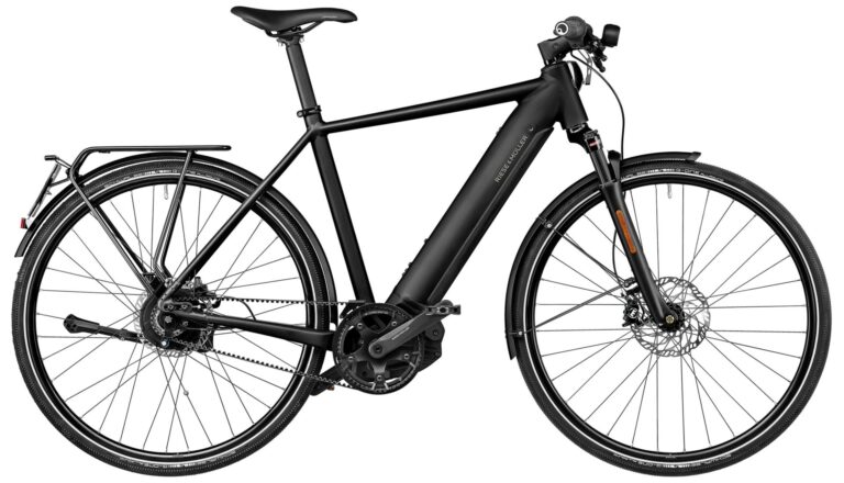 Riese & Müller Roadster4 vario HS 2025