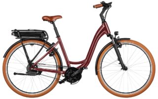 Riese & Müller Swing4 automatic 2025