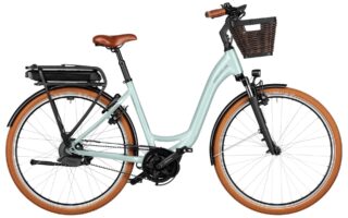 Riese & Müller Swing4 automatic Testbike 2025
