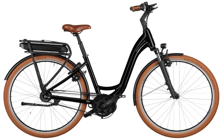 Riese & Müller Swing4 rücktritt Testbike 2025