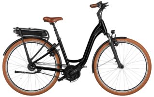 Riese & Müller Swing4 rücktritt Testbike 2025
