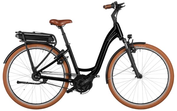 riese-mueller-swing4-ruecktritt-testbike-2025-et25-001452.jpg