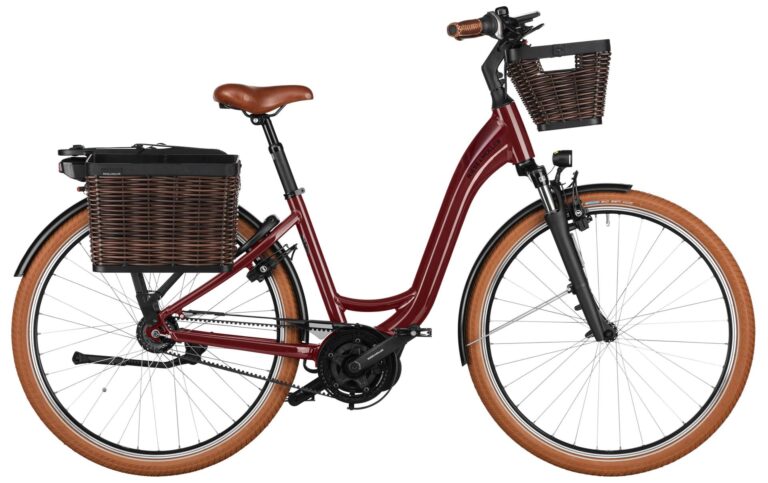 Riese & Müller Swing4 silent Testbike 2025