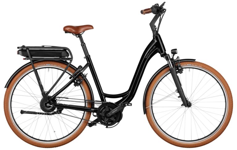 Riese & Müller Swing4 vario 2025