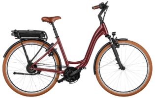 Riese & Müller Swing4 vario 2025