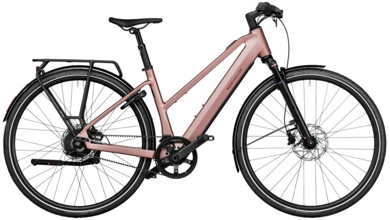 Riese & Müller UBN Seven vario Testbike 2025