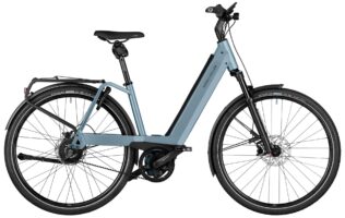 Riese & Müller Nevo4 vario 2025