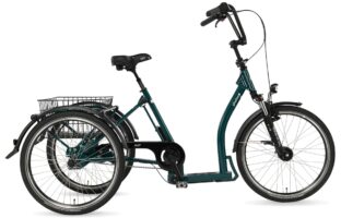 pfautec Ally 2025