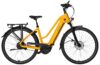 eT25 003540 01 at Velo de Ville AEB 490 PRO Alfine 8 2025