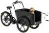 eT25 012474 02 de Cargobike of Sweden Cargobike DeLight Dog 2025