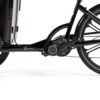 eT25 012474 04 de Cargobike of Sweden Cargobike DeLight Dog 2025