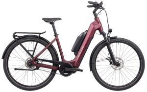Hercules Tessano HD I-F5 2025 Trekking e-Bike,e-Bike XXL