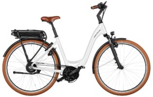 Riese & Müller Swing4 vario 2025